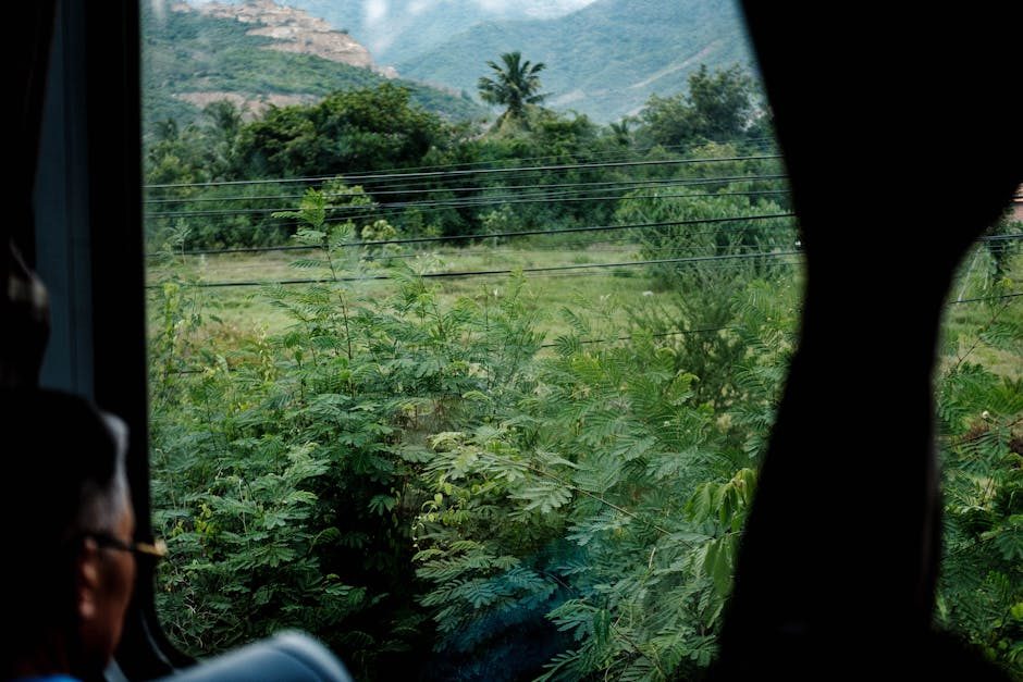Campi verdi e montagne sono visibili attraverso il finestrino di un autobus.