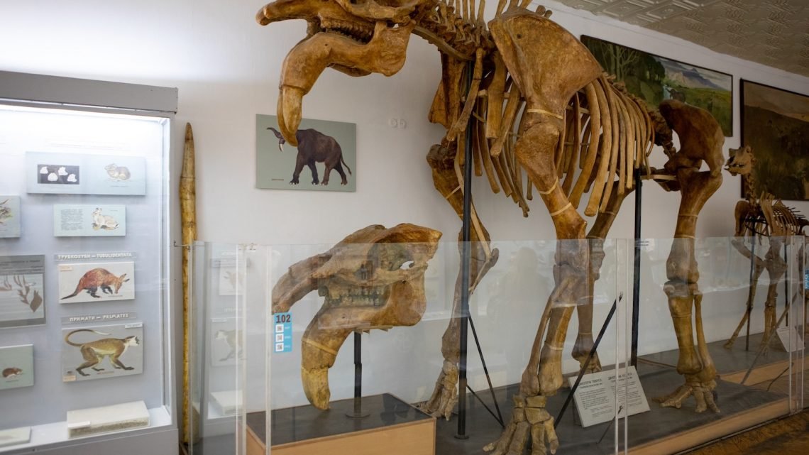 Nationales Wissenschafts-Naturhistorisches Museum der NAS der Ukraine — Kiew — Національний науково-природничий музей НАН України, Київ