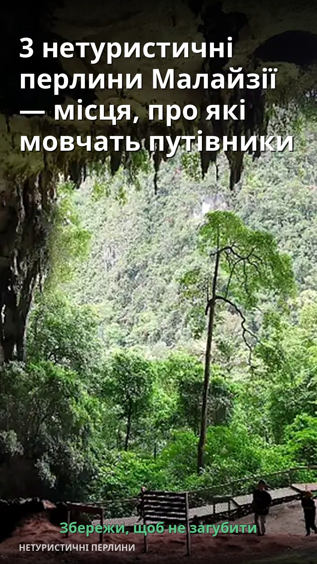 Величезна печера з зеленими рослинами на стінах та світлом, що проникає з верхньої частини.