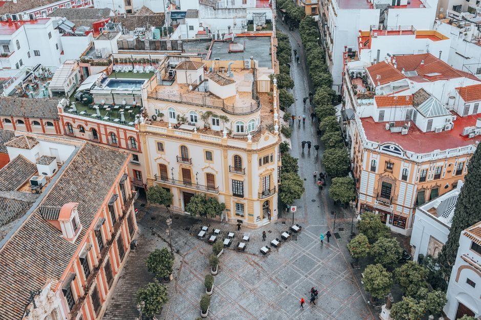 L'immagine mostra una strada fiancheggiata da alberi verdi e edifici a Siviglia.
