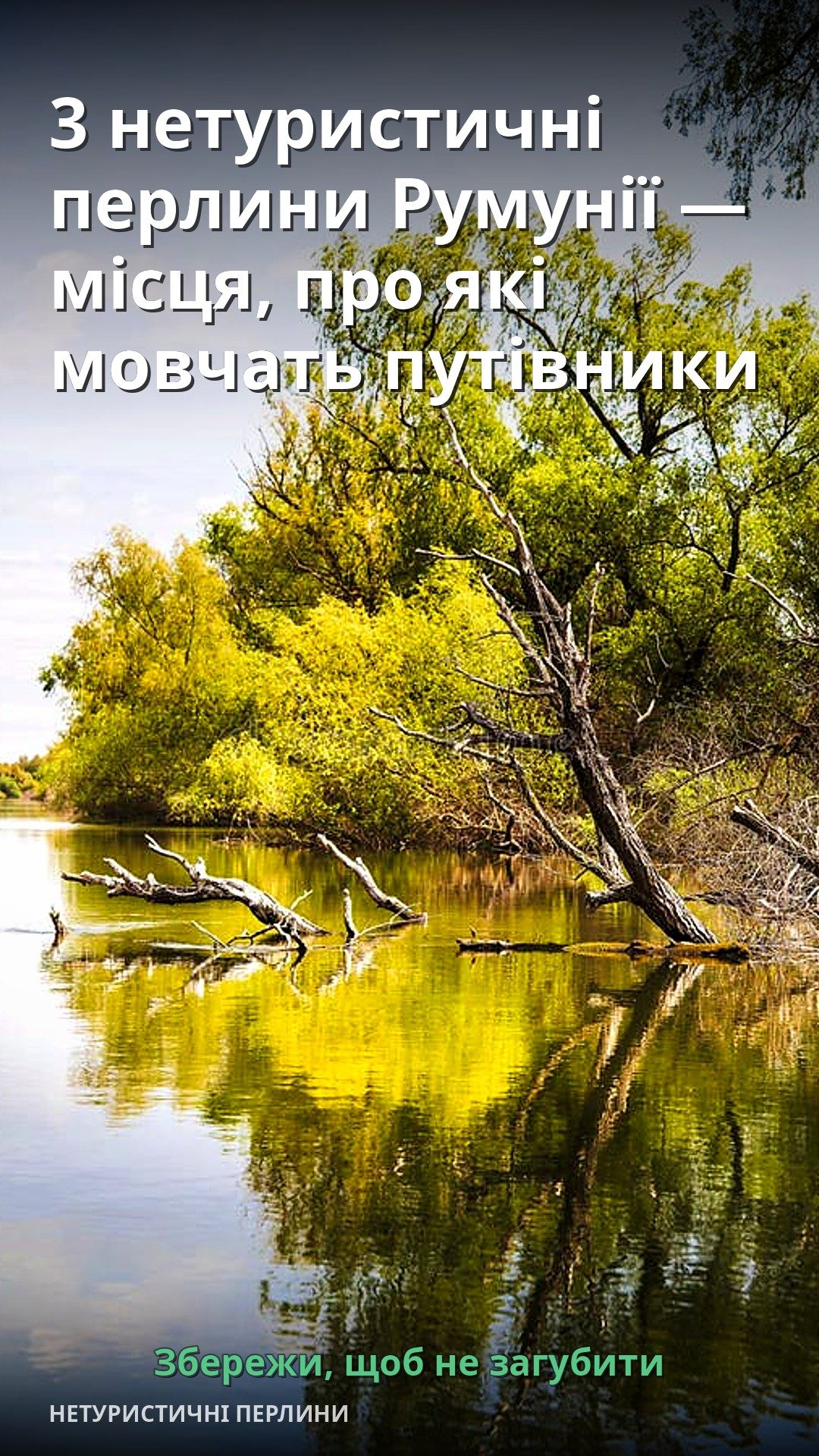 На фотографії видно спокійну річку, оточену зеленими деревами та чагарниками.