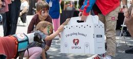 Giornata di adozione degli animali in California — San Francisco SPCA, Mission Campus