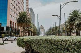 Palmen und moderne Gebäude säumen die Straße zum Monumento a la Revolución.