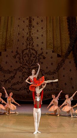 I ballerini eseguono movimenti intricati sul palco durante una performance di balletto.