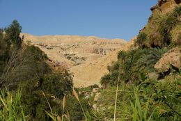 Utilizza la funzione delle mappe offline nell'app I'M IN durante la tua visita alla città antica di Petra in Giordania per trovare i percorsi più interessanti e gli angoli nascosti di questo sito archeologico senza connessione a Internet
