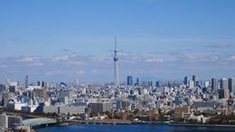 Nutzen Sie die I'M IN-Funktion, um geheime Bars in Tokio, Japan, zu besuchen, die für ihre intime Atmosphäre und einzigartigen Cocktails bekannt sind, wo Sie einen Abend im Kreise von Einheimischen genießen und lernen können — Tokyo, Japan